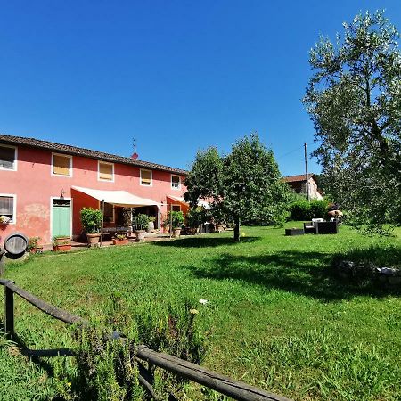 Agriturismo Al Podere Di Rosa 卢卡 外观 照片