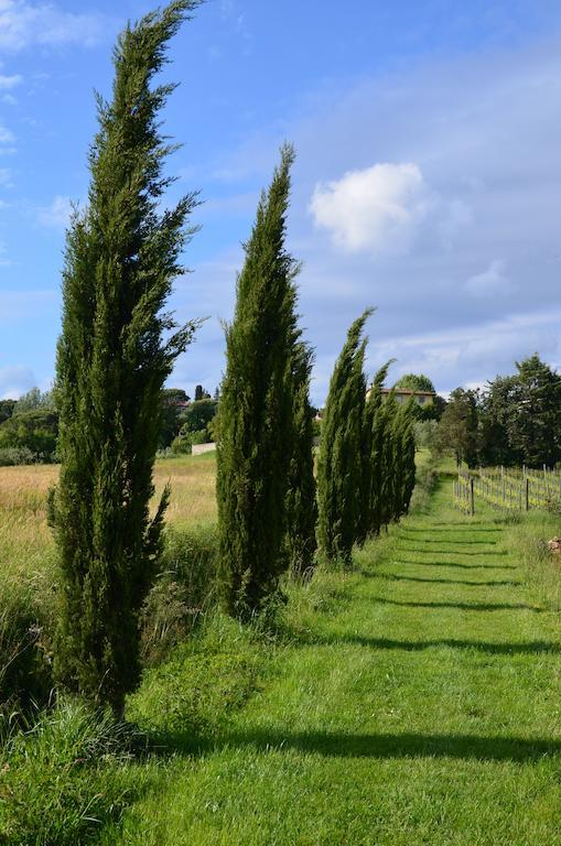 Agriturismo Al Podere Di Rosa 卢卡 外观 照片