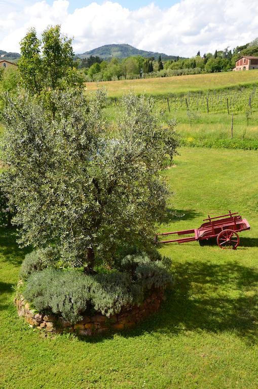 Agriturismo Al Podere Di Rosa 卢卡 外观 照片