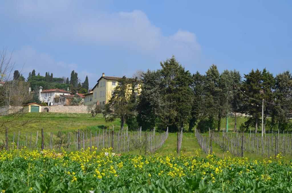 Agriturismo Al Podere Di Rosa 卢卡 外观 照片