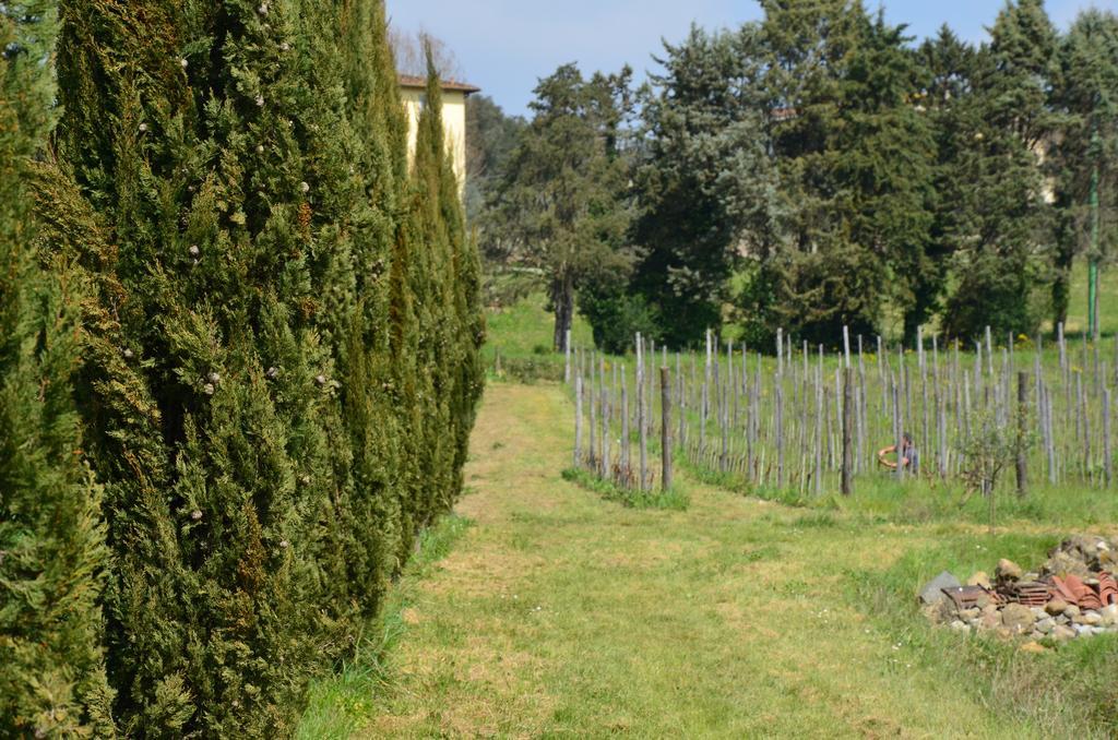 Agriturismo Al Podere Di Rosa 卢卡 外观 照片