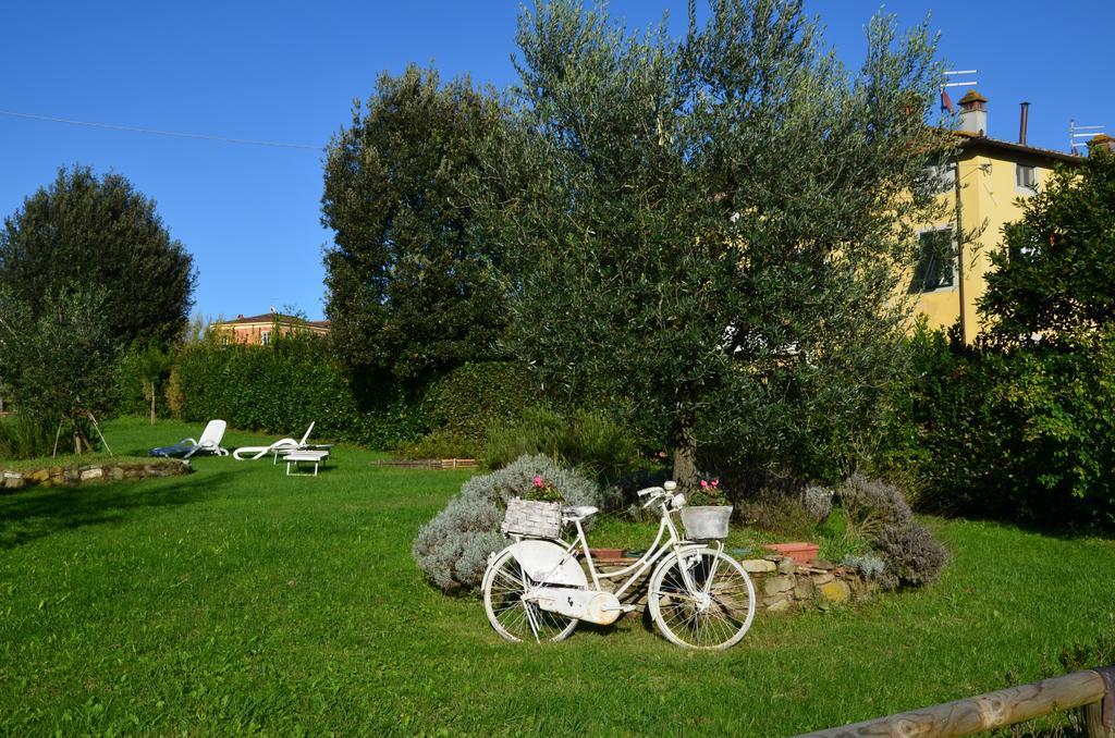 Agriturismo Al Podere Di Rosa 卢卡 外观 照片