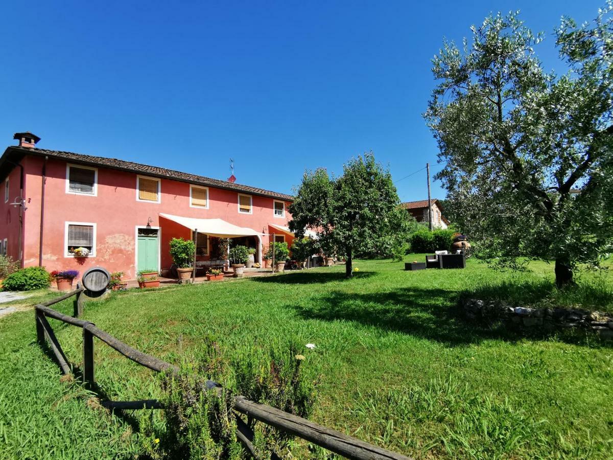 Agriturismo Al Podere Di Rosa 卢卡 外观 照片